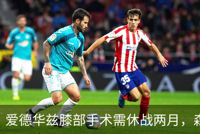 爱德华兹膝部手术需休战两月，森林狼面临挑战与调整